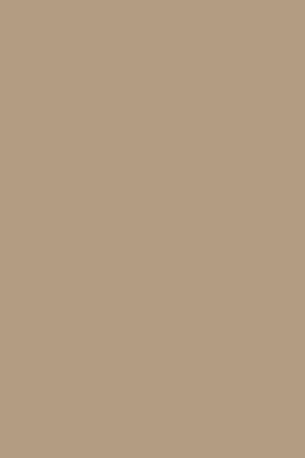 Warm Taupe symbolizing empowerment