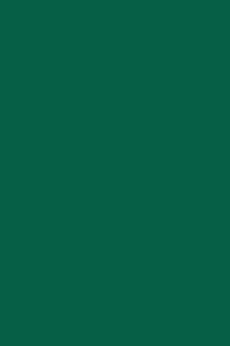 Color forest green respresenting balance between discipline and creativity